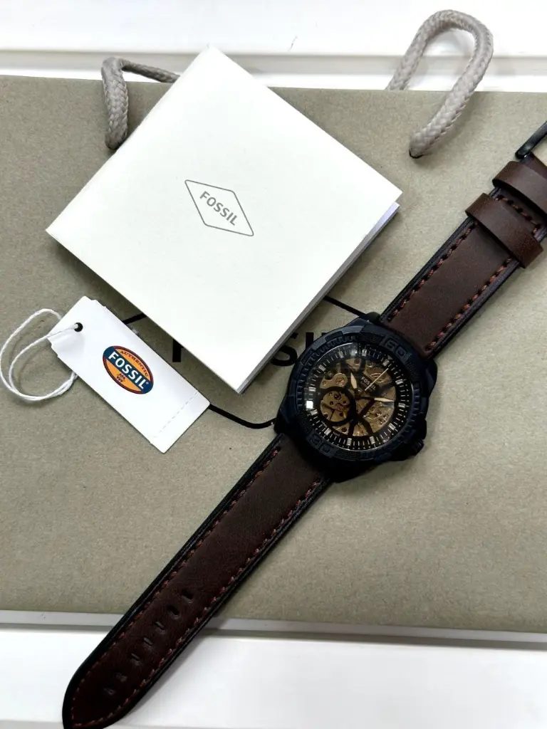 fossil7.webp
