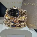 bvwatch.webp