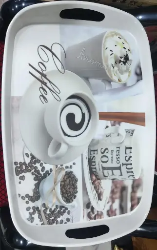 tray single peice in white colour with best quality